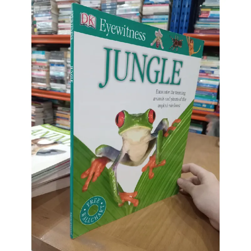 Eyewitness: Jungle 564632