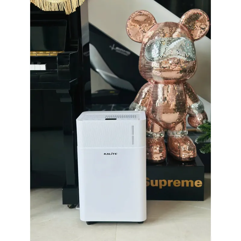 ✨ Máy hút ẩm Kalite DrySense A6 – Dễ sử dụng, an toàn, phù hợp gia đình có trẻ nhỏ! 730758