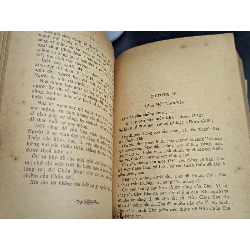 Giêsu vua tình yêu - Cha Mateo ( cha Vincent F.Ngân dịch  ) 450114