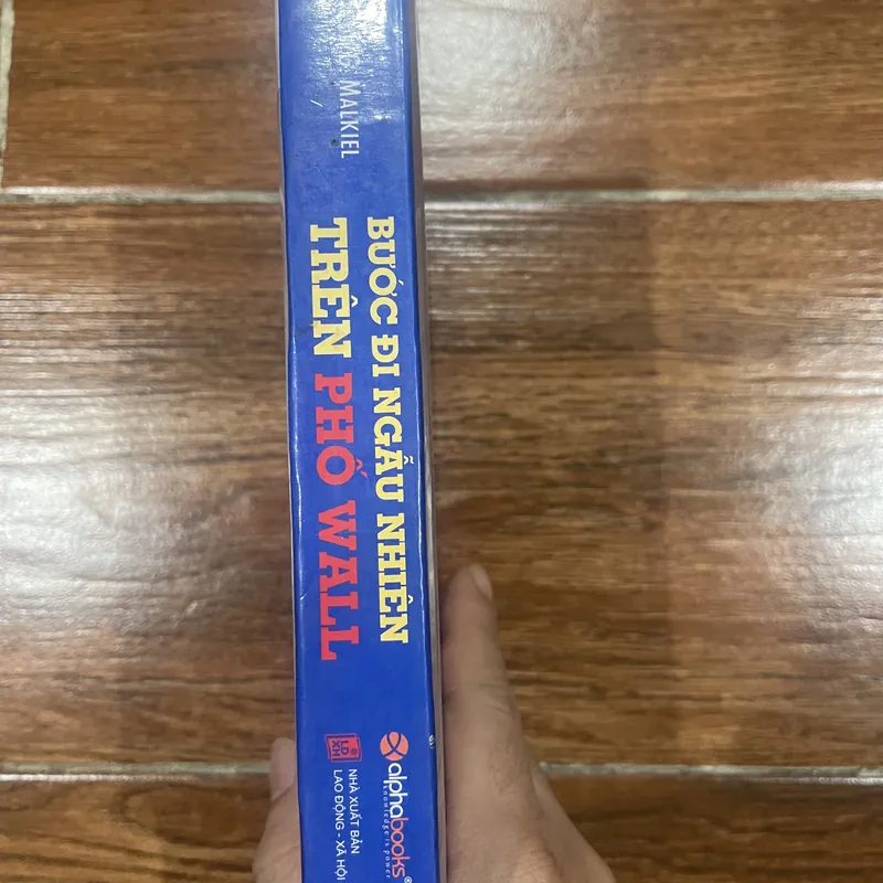 Bước đi ngẫu nhiên trên phố wall  (9) 707353