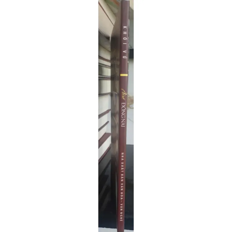 Ai Về Đồng Nai 736998