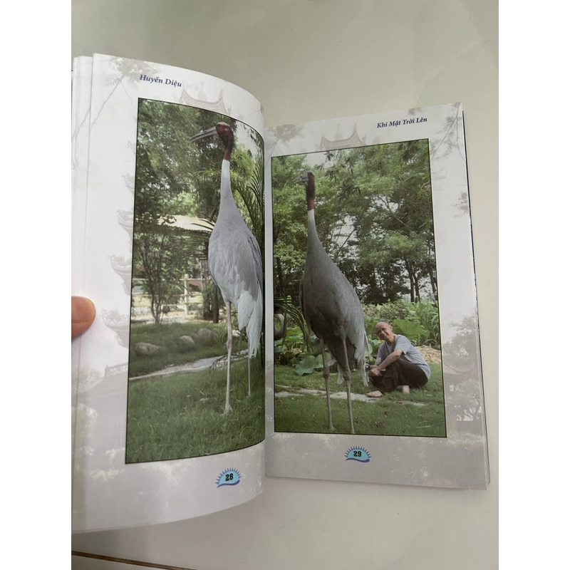 Khi mặt trời lên 453769