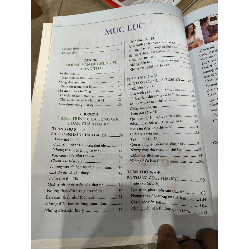 Cẩm Nang Mang Thai Toàn Tập - Lesley Regan 1003337