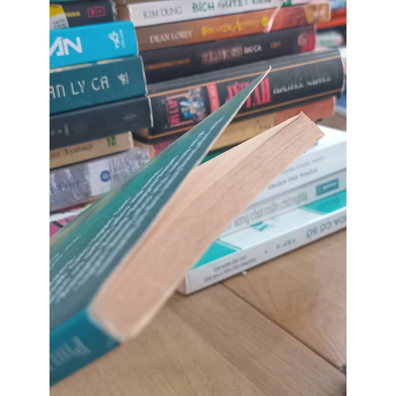 The rope and other stories - Philippa Pearce 708297
