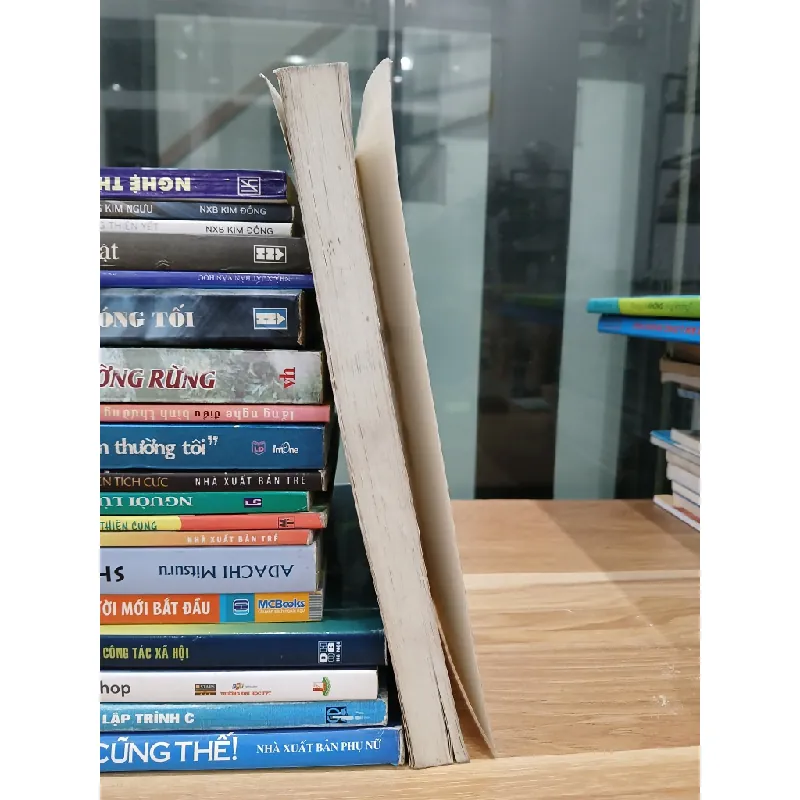 Lò công nghiệp – Phan Văn Trí (chủ biên), Dương Đức Hồng, Nguyễn Công Cẩn 560853