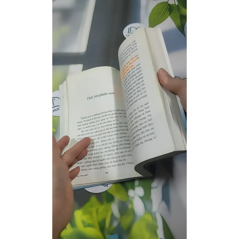 Tâm Tĩnh Lặng - Achaan Chah 727369