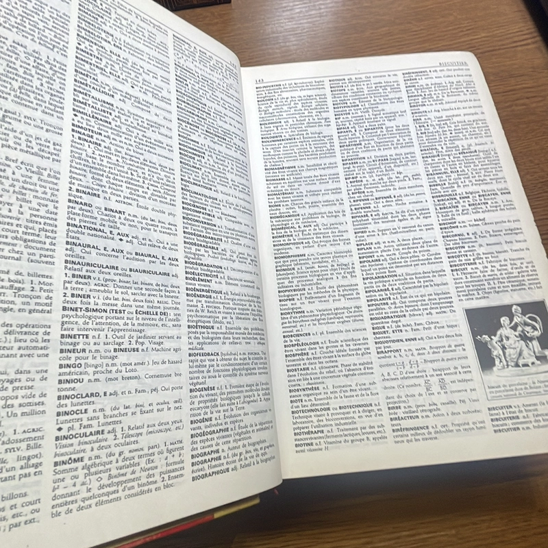 Le Petit Larousse Illustre 1993 Từ điển 408650