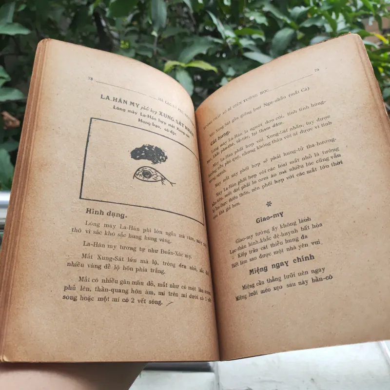 Tướng Pháp Áo Bí 928912