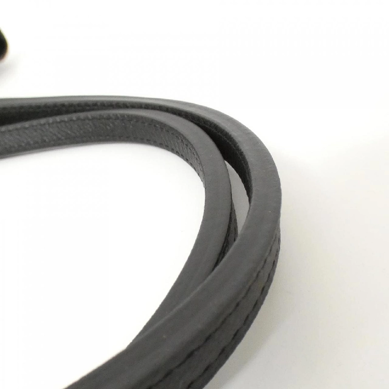 【Sản phẩm chưa sử dụng】Túi Goyard Saint Louis PM AMA LOUIS PM 609672