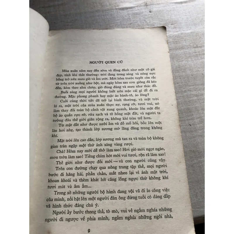 Hạt nước hạt vàng 786807