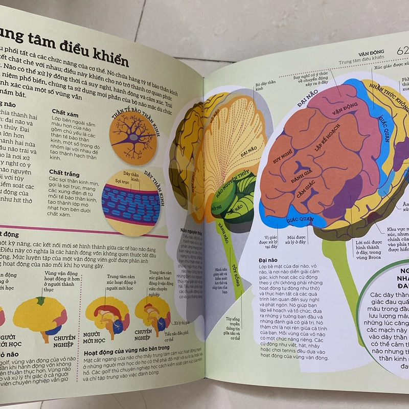 How the body works: hiểu hết về cơ thể 537331