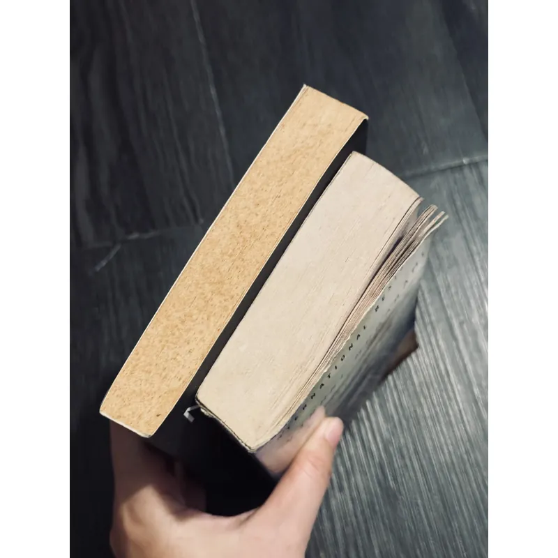 Combo 2 cuốn Haruki Murakami 590329