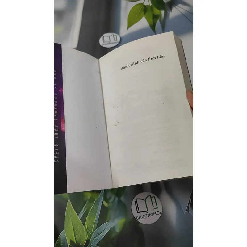 Hành Trình Của Linh Hồn - TS. Michael Newton 1018873