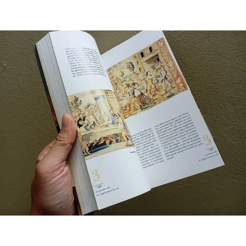 Sách ảnh tiếng Pháp, art book, sách ngoại văn  730025