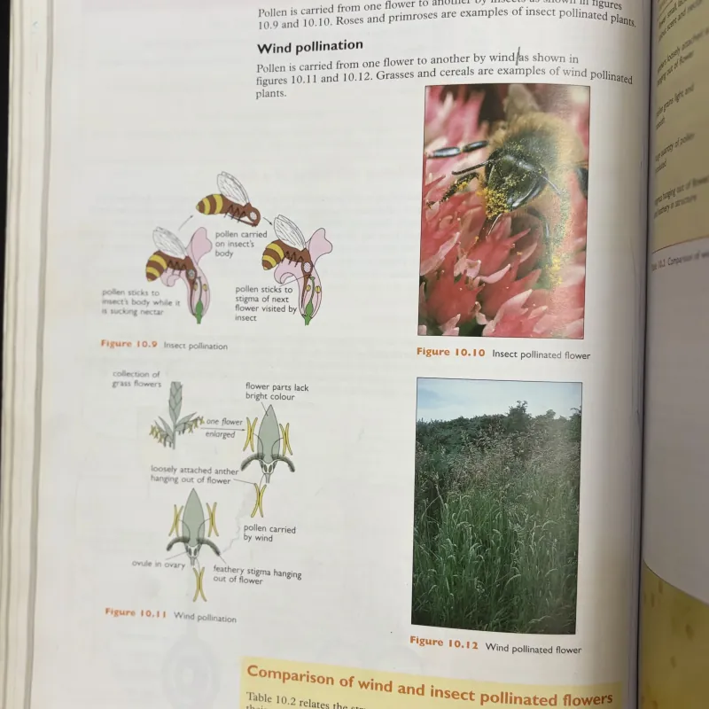 Standard Grade Biology – Sách Sinh học chuẩn chương trình Anh 933903
