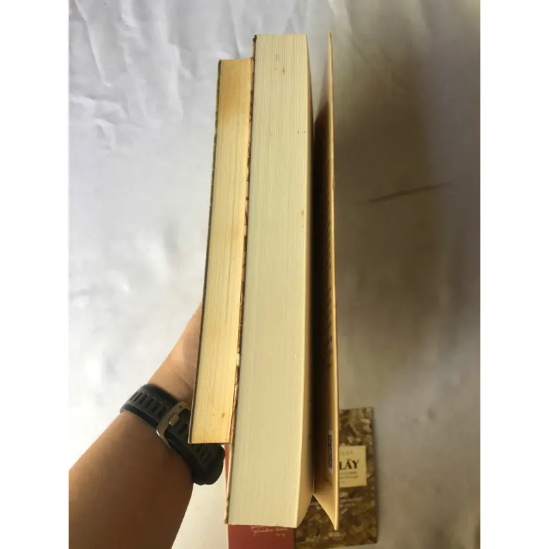 Mekong Phù Sa Phiêu Bạt - Khải Đơn & Đầm Lầy - David Biggs 1007165