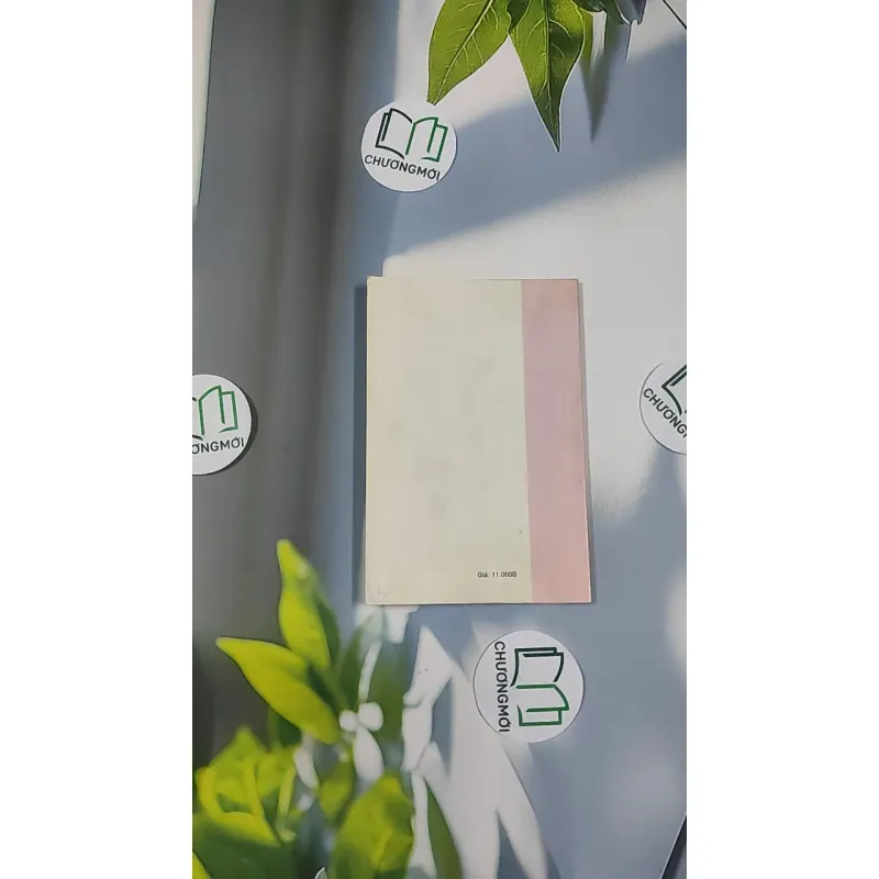 Hồn Bướm Mơ Tiên - Nhất Linh & Khái Hưng 798490