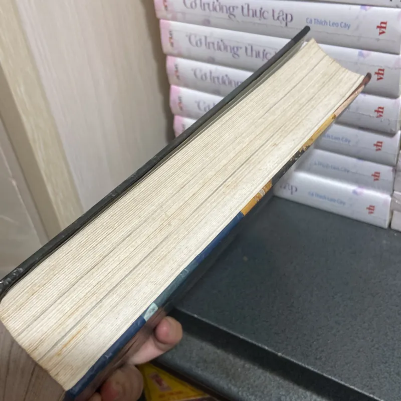 Hồi ký Hillary Clinton và chính trường nước Mỹ - Living History 1005019