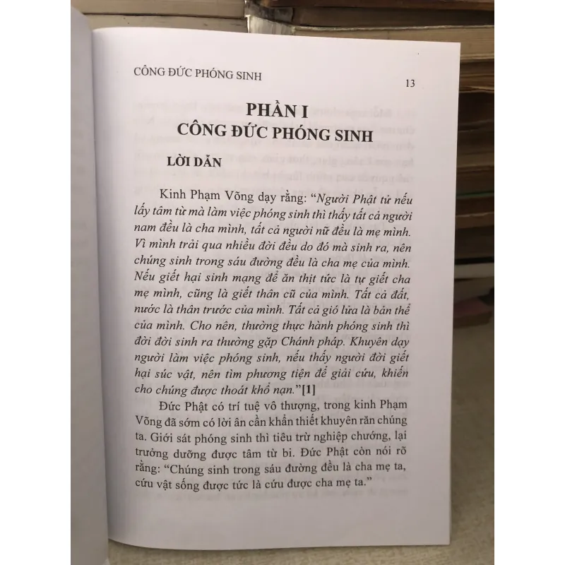 Công đức phóng sanh - pháp sư Viên Nhân 994468