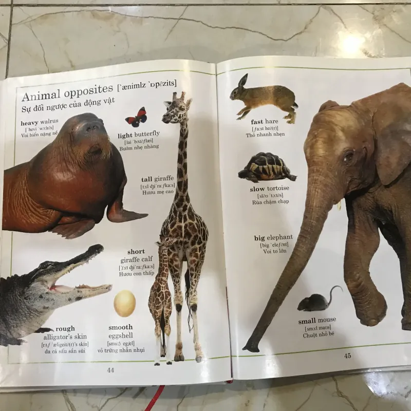 Từ điển động vật bằng hình  748516