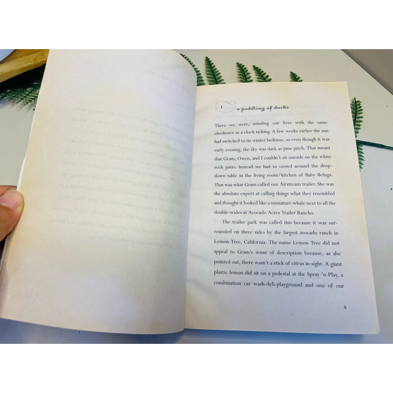 [Sách tiếng Anh 2hand] Like new 90% - Becoming Naomi León - Pam Muñoz Ryan 496941