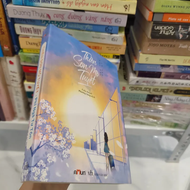 Thiên Sơn Mộ Tuyết 563491