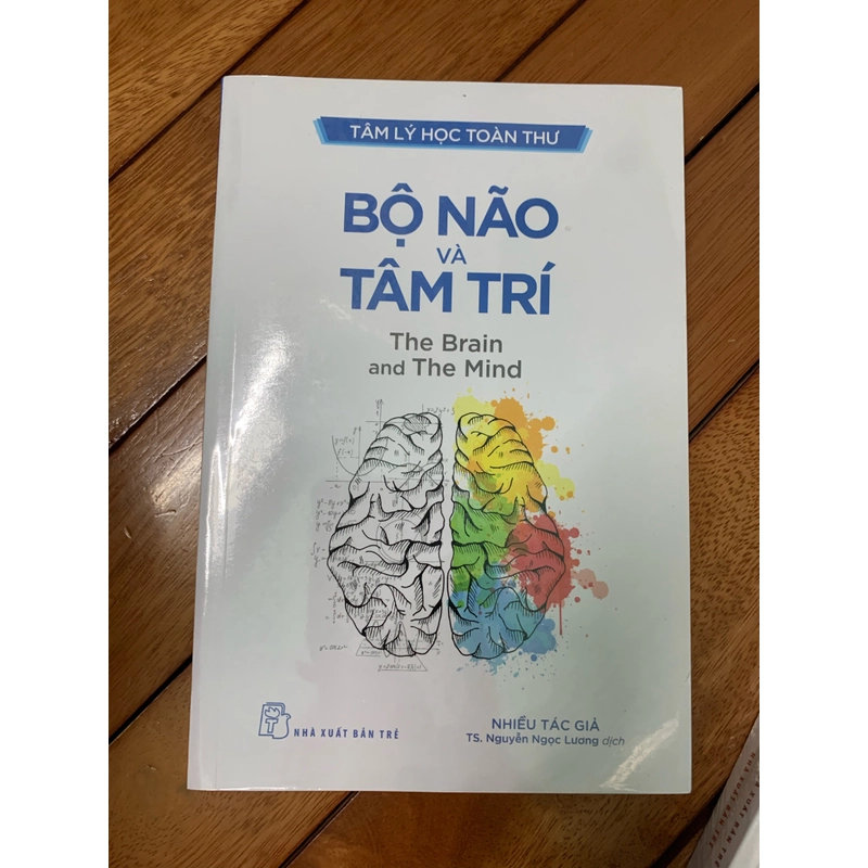 Bộ não và tâm trí 522814