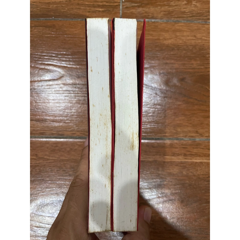 Ngày hoàng đạo bộ 2 tập - Nguyễn Đình Chính (o4) 496694