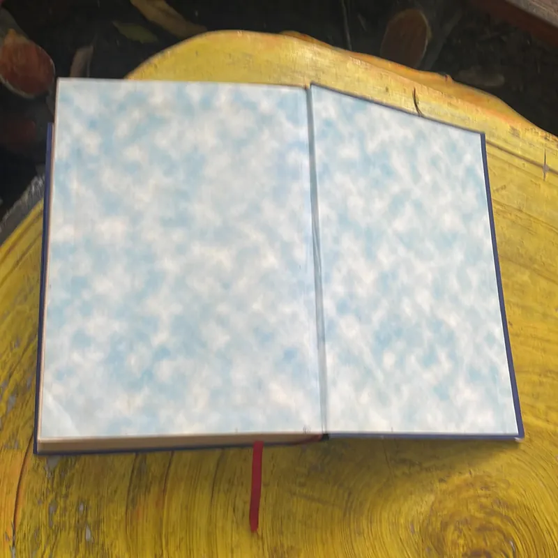 COMBO TỪ ĐIỂN ANH - VIỆT & TỪ ĐIỂN VIỆT - ANH - BÙI PHỤNG 695756