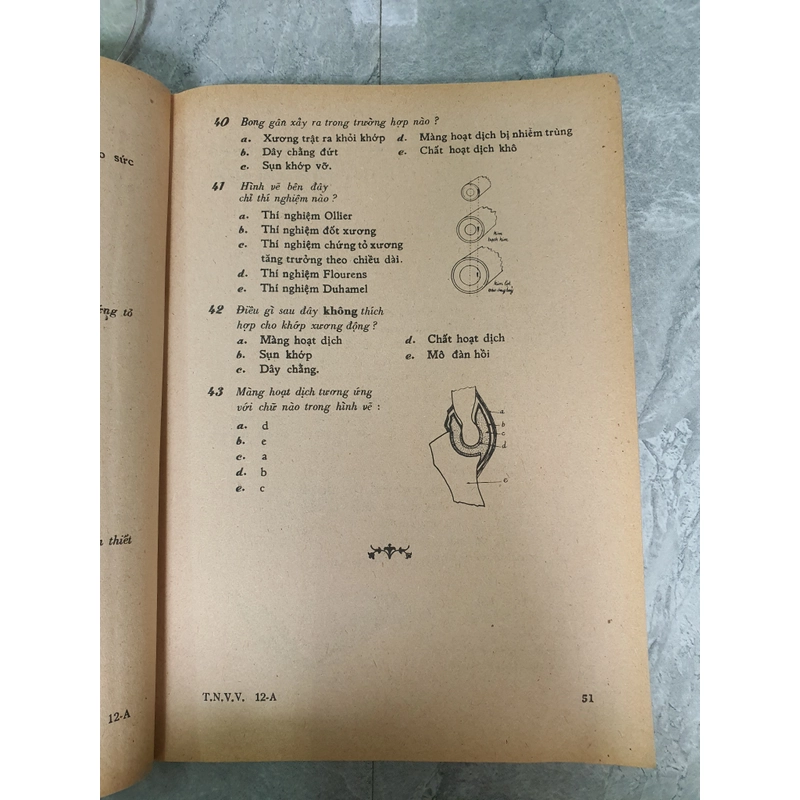 TRẮC NGHIỆM VẠN VẬT - BAN GIÁO SƯ VẠN VẬT HÀN THUYÊN 471615