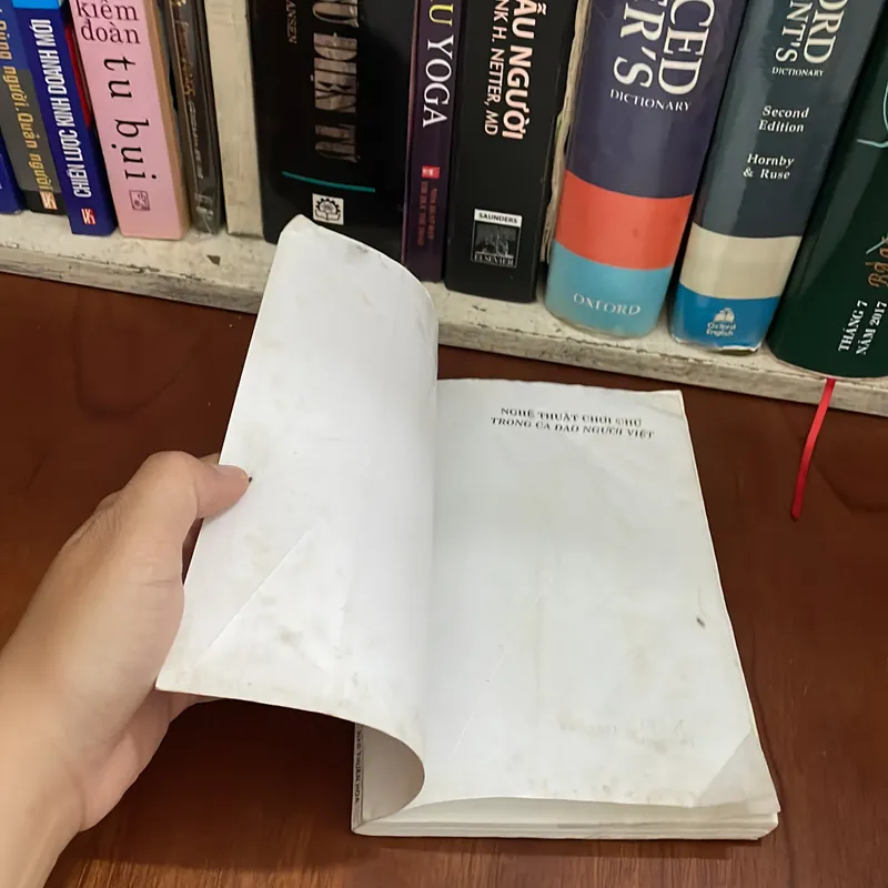 II Tựa sách: Nghệ Thuật Chơi Chữ Trong Ca Dao Người Việt - Triều Nguyên 562836