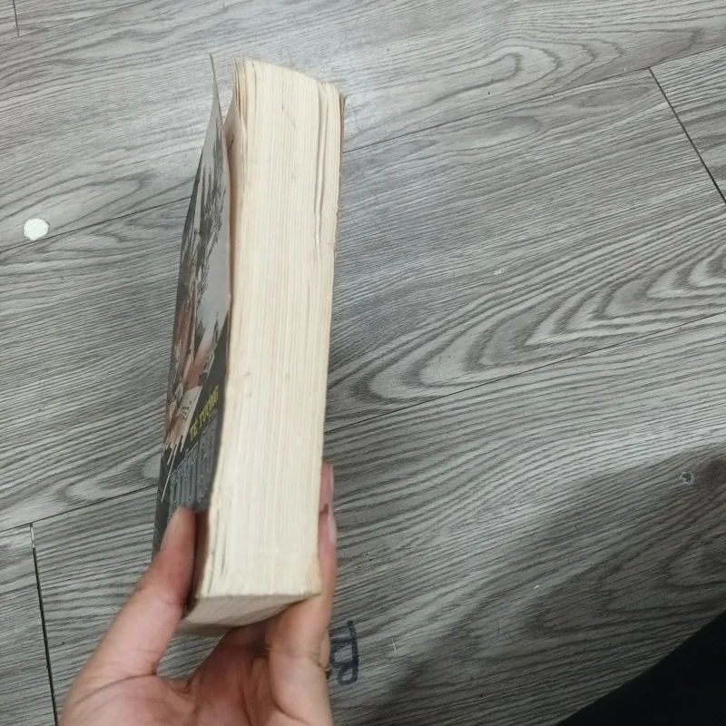 Tể Tướng Lưu Gù - Ân Văn Thạc 1024036