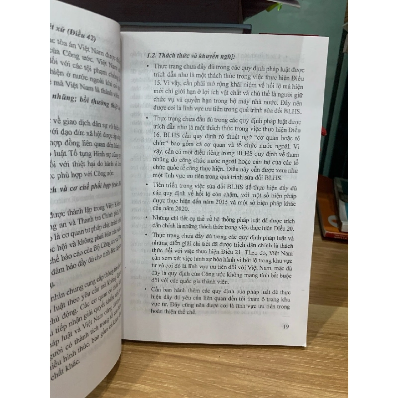 Báo cáo đánh giá quốc gia của Việt Nam-Thanh tra chính phủ 728017