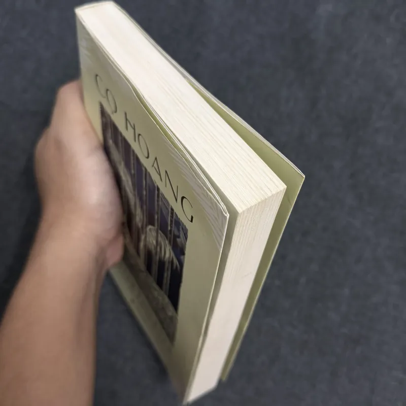 Cọ hoang, Âm thanh và cuồng nộ, Bọn đạo chích - William Faulkner 785112