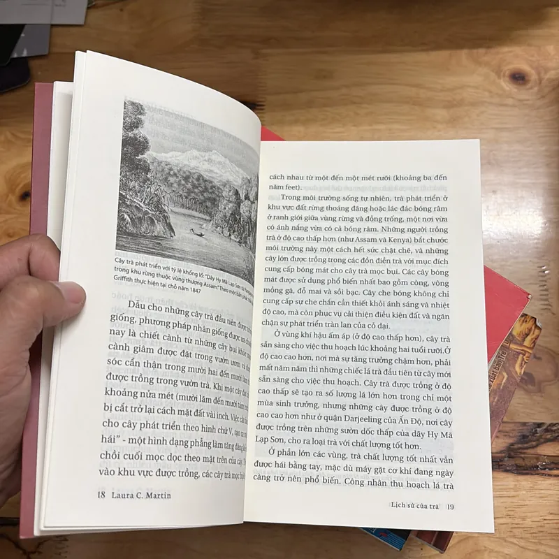 II Tìm Hiểu Về Trà: Lịch Sử Của Trà - LAURA C. MARTIN - 2019 700980