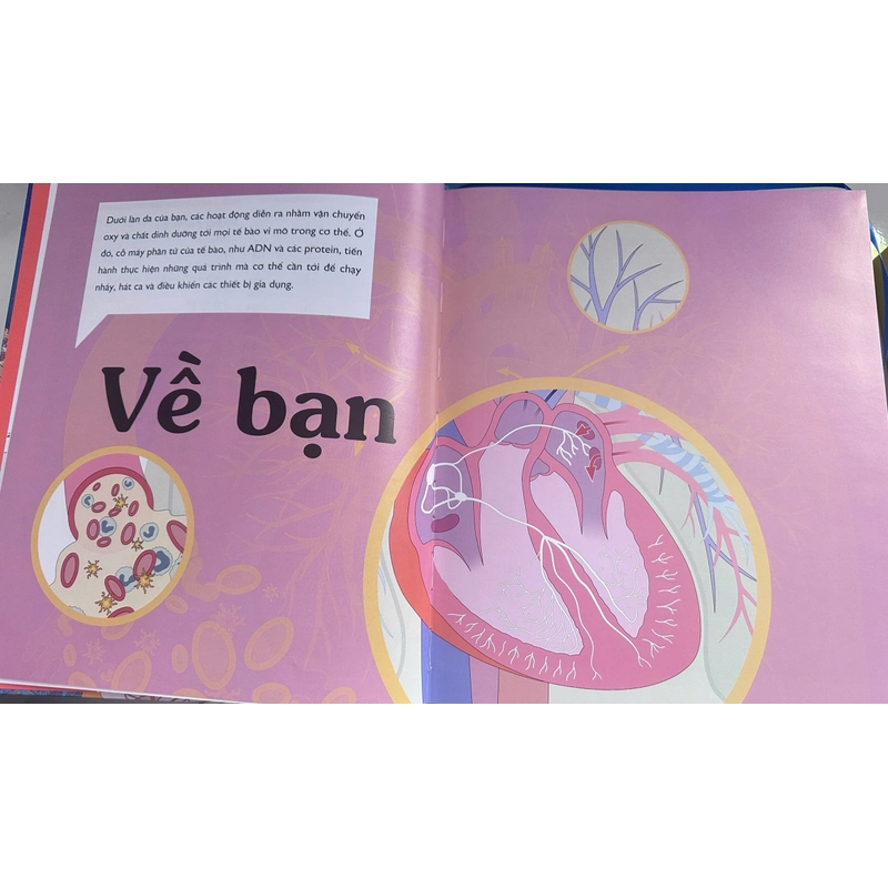 Vạn Vật Vận Hành 379536