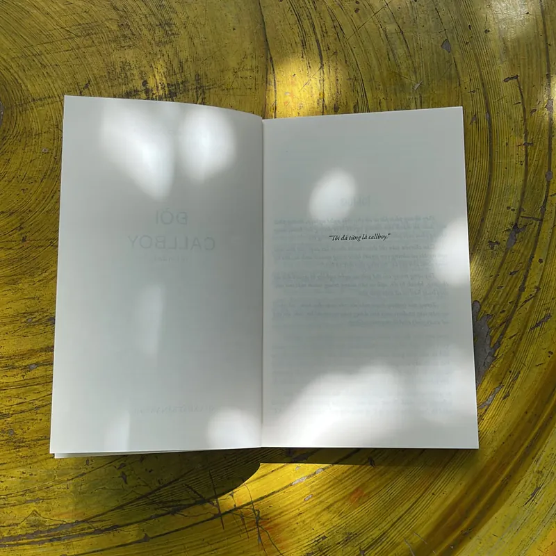 ĐỜI CALLBOY- (3)- NGUYỄN NGỌC THẠCH 706853