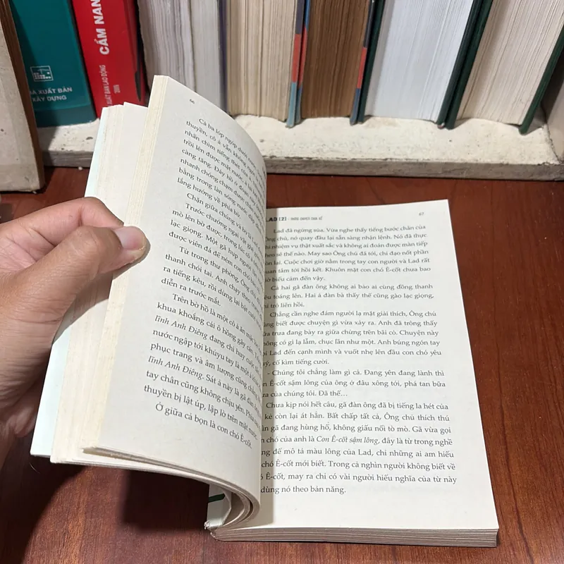 II Sách Kẹp Hạt Dẻ: LAD _ Những Chuyện Chưa Kể (Tập 2) - ALBERT PAYSON TERHUNE - 2020 722485