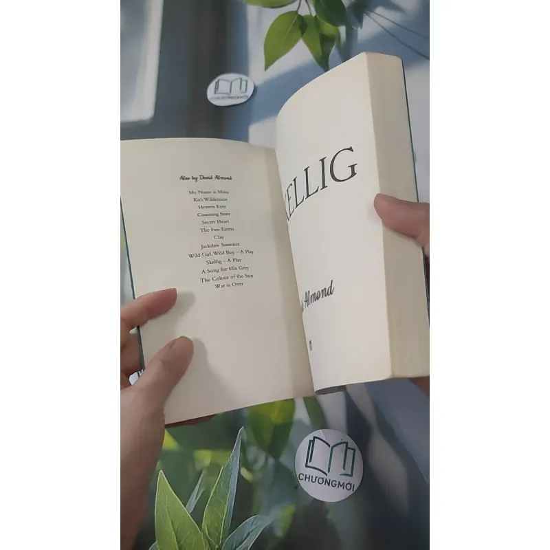 Skellig - David Almond 1033624