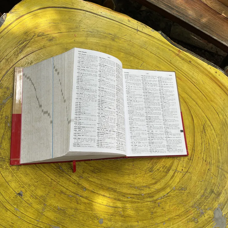 TỪ ĐIỂN ANH - VIỆT - VIỆT ANH- BAN BIÊN SOẠN CHUYÊN TỪ ĐIỂN NEW ERA 603684