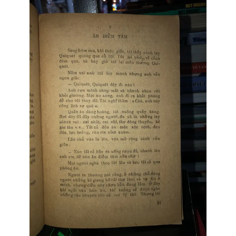 Cá voi trắng - Hơmơn Menvin 795448