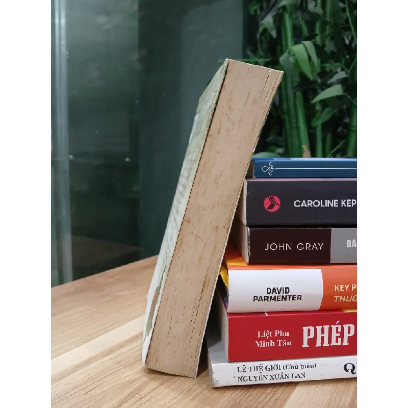 Vượt Qua Năm Tháng, Anh Yêu Em – Priyanka Bhosle 529286