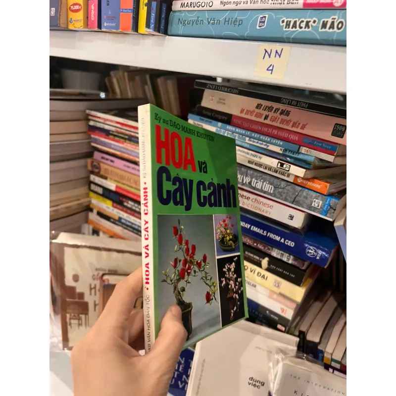 Hoa và cây cảnh - Đào Mạnh Khuyến 561740