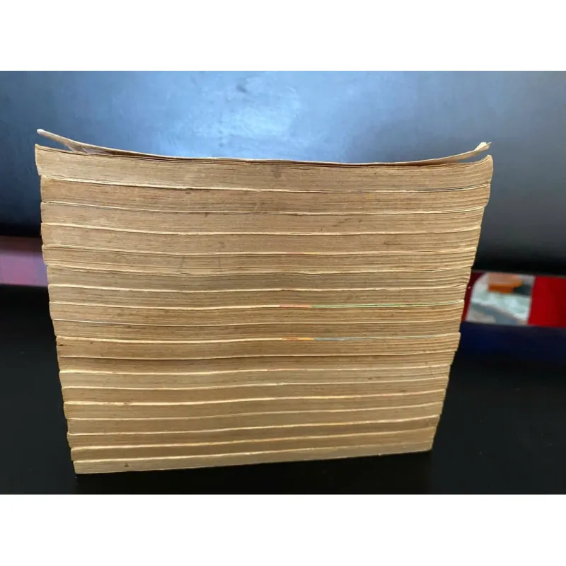 truyện tranh Bá tước tiểu thư (tên gốc: The Countess)  996319