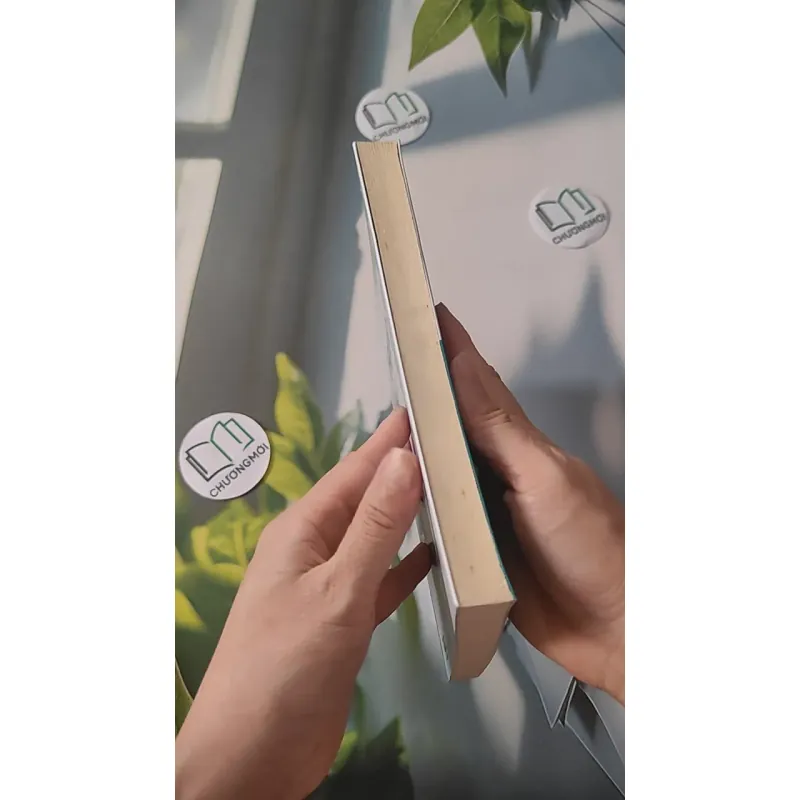 Hạnh Phúc Đến Từ Sự Biến Mất - Ajahn Brahm 961190