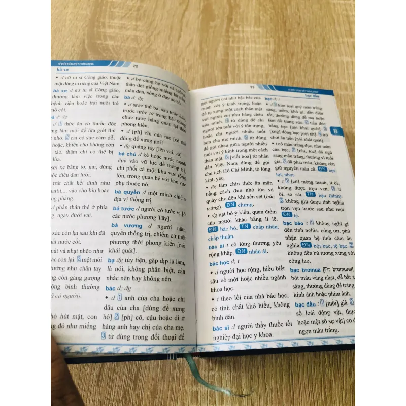 TỪ ĐIỂN TIẾNG VIỆT THÔNG DỤNG DÀNH CHO HỌC SINH  1000546