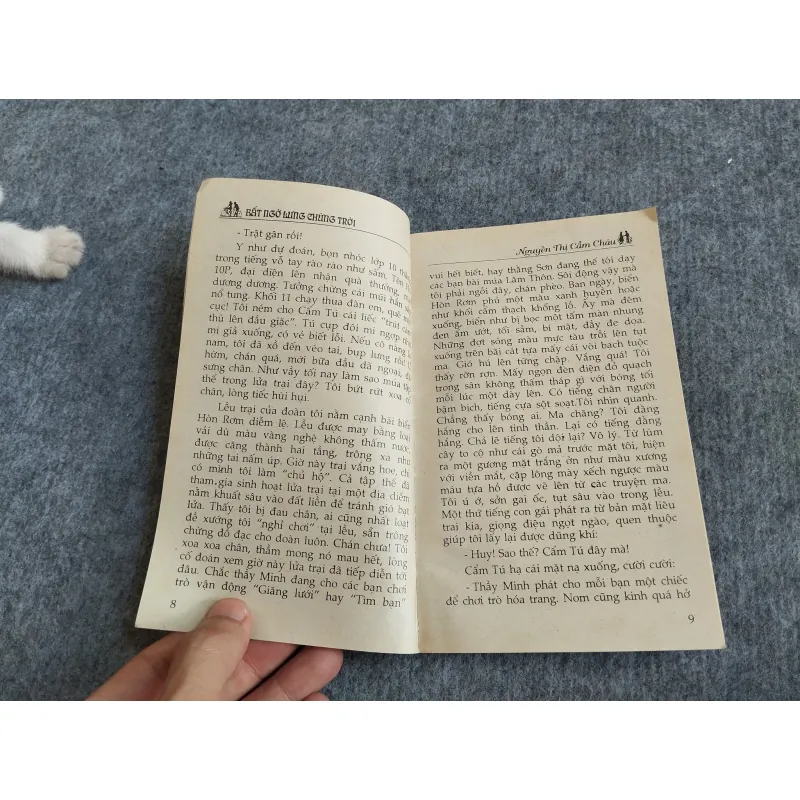 BẤT NGỜ LƯNG CHỪNG TRỜI - NGUYỄN THỊ CẨM CHÂU 567831