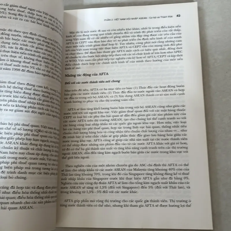 Việt Nam hội nhập Asean 727646