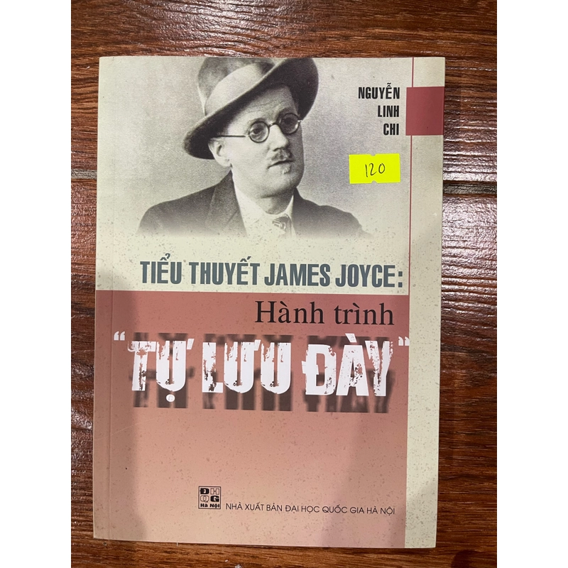 Tiểu thuyết James Joyce: Hành trình tự lưu đày (9) 466521
