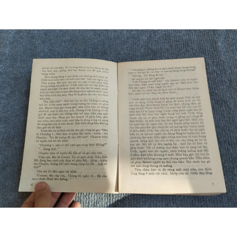 NGỰA THÁI - W.DIEHL 574308